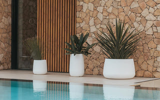 Need to get your garden summer ready?