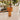 Outdoor table lamps