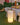 Outdoor drinks coolers