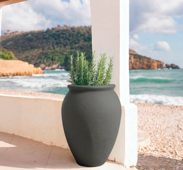 BEGONIA round plant pot