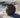 BEGONIA round plant pot