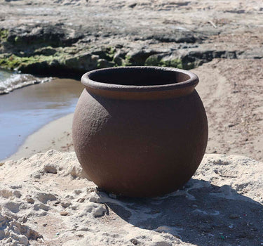 BEGONIA round plant pot