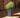 BROMELIA rectangular tall planter with wheels