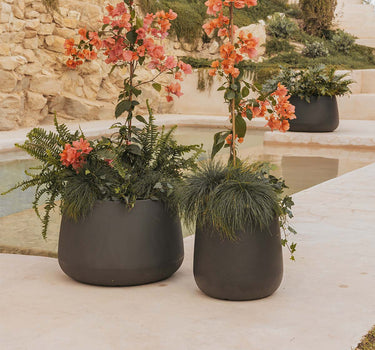 Camelia Round Plant Pot