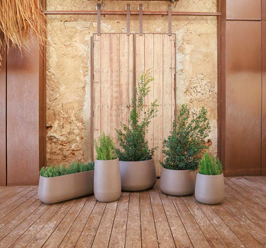 Camelia Round Plant Pot