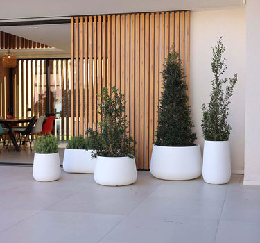 Camelia Round Plant Pot