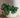 Camelia 60 Round Planter