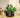 Camelia 60 Round Planter
