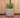 Camelia 60 Round Planter
