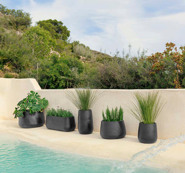 Camelia Round Plant Pot