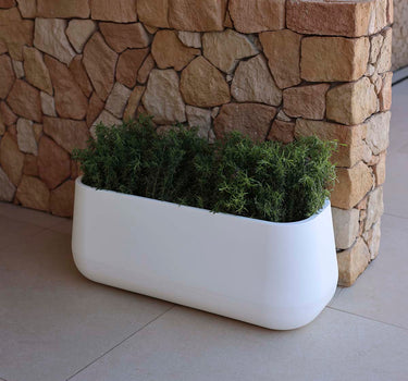 Camelia Round Plant Pot