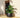 Camelia 60 Round Planter