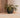 Clavel square plant pot