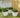 CLAVEL 30 SOLID COLOR SQUARE FLOWER POT