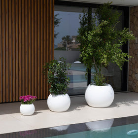 Dalia round plant pot