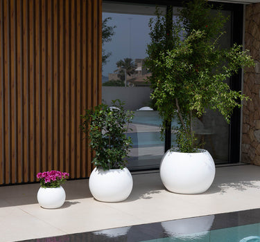 Dalia round plant pot
