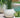 Dalia round plant pot
