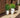 Aloe round plant pot