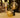 EDY G125 cordless portable vintage light bulb