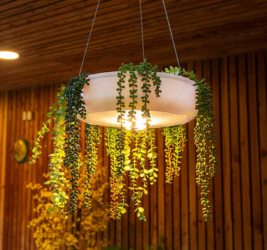 Round hanging planter with wireless lighting ELBA 59