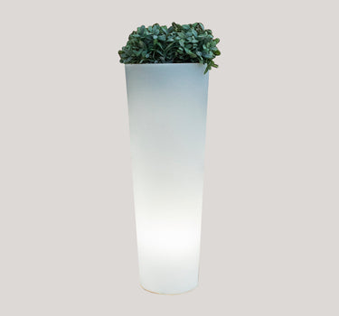 FICUS 80 round flowerpot with light