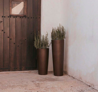 FICUS tall round plant pot