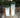FICUS round plant pot with light