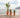 Gerbera round plant pot