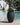 Aloe round plant pot - 01