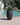 Aloe round plant pot - 04
