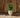 Aloe round plant pot - 14