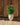 Aloe round plant pot - 14