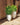 Aloe round plant pot - 13