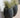 Aloe round plant pot - 26