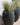 Aloe round plant pot - 26