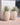 Aloe round plant pot - 29