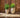 Aloe round plant pot - 30