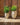 Aloe round plant pot - 30