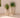 Aloe round plant pot - 31
