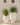 Aloe round plant pot - 34