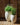 Aloe round plant pot - 37