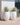 Aloe round plant pot - 39