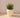 Areca round plant pot - 06
