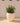 Areca round plant pot - 06