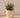 Areca round plant pot - 08