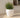Areca round plant pot - 11