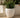 Areca round plant pot - 16