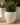 Areca round plant pot - 16