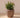 Areca round plant pot - 18
