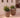 Areca round plant pot - 19